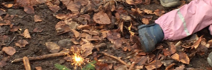 Die pure Lust am Wald