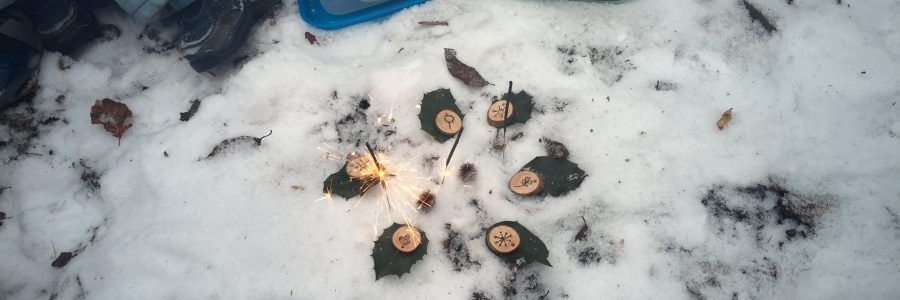 Wintergeburtstag