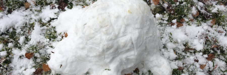 Wintereinzug