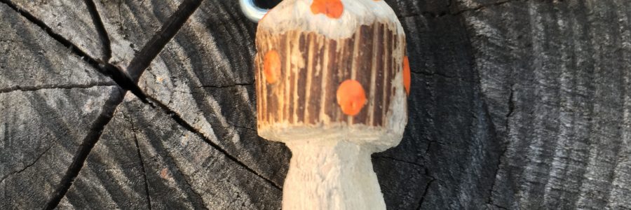 Waldkinderglückspilze