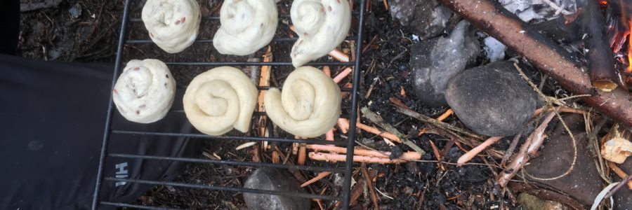 Schnecken mit grossem Haus, mit kleinem Haus, ohne Haus