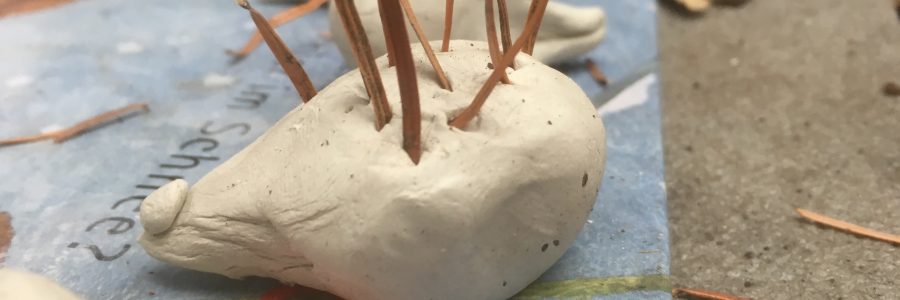 Das Rotschwänzchen macht sich auf Futtersuche