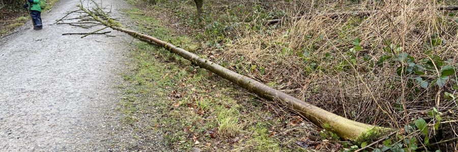 Sturm Sabine setzt uns Grenzen auf