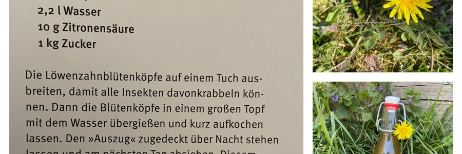 Löwenzahnsirup