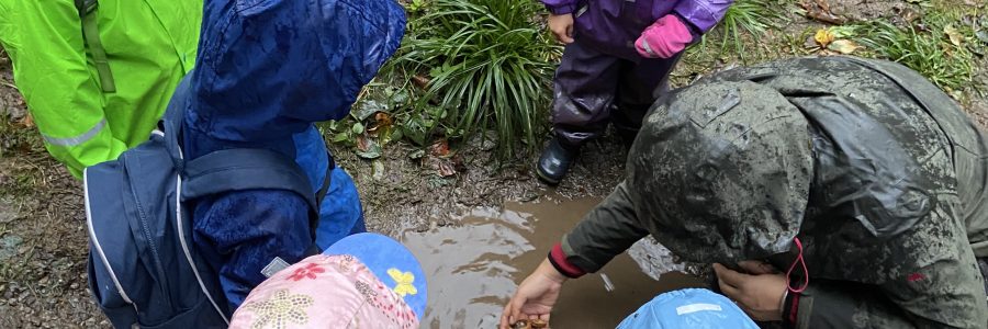 Regenwetter und schwimmende Wallnusschalen