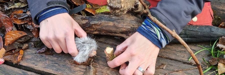 Der kleine Igel hat kein Nest mehr